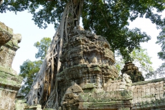 Kam_04