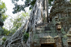 Kam_05