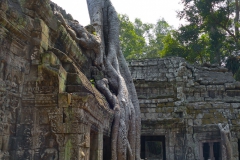 Kam_06