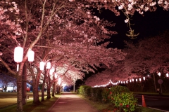 Hirokazu-Sasaki_Kagoshima-Pref.-2