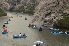 Satoshi-Tamai_Imperial-Palace-Tokyo-2