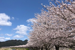 Taichi-Yasuda_Kako-River-Hyogo-Pref.-1