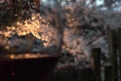 Takanori-Ichioka_Yamaguchi-Pref.-2