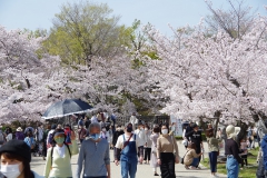 Takashi-Ishimoto_IMGP2275