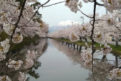 Toshihiko Tanaka | Hirosaki Castle Mt. Iwaki Aomori Pref.