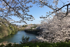 Univ.Occupational-and-Environmental-Health-Fukuoka-Pref.-Kyusyu