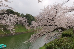 Yasuhiro Izutani | Imperial Palace, Tokyo