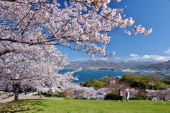 Yuzuru-Imai_Otaru-Hokkaido-5