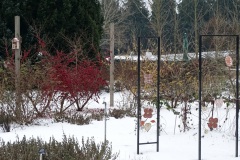 fot.-1.-DSC02140