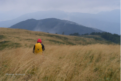 009.-Bieszczadzki-szlak-przez-poloniny