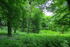 Ogrod-Botaniczny-jako-osrodek-bioroznorodnosci