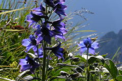 010.-Ostrozka-tatrzanska