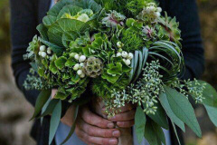 14abcd0cab74a8eaa840a401739c4abe