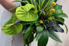 a34e3660463a685c174dab04af1a56a8