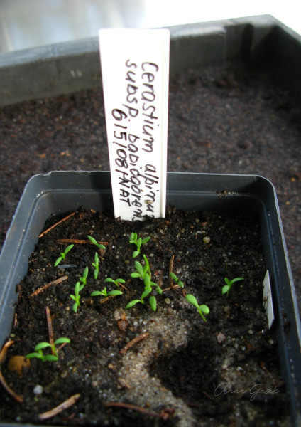 003.-Probka-z-etykieta-o-danych-introdukcji