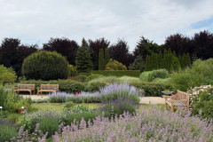 13.Kojace-barwy-roslin-przy-szklarence