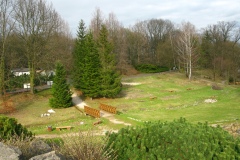 003.-Swierki-posadzone-przy-drewnianym-mostku-2023-rok