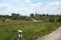 006.-Swierki-posadzone-przy-Kopiencu-Powsinskim-2008-rok