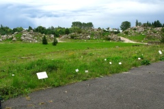 KFP, rabata słoneczna