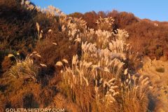 11.-©GoletaHistory.com_