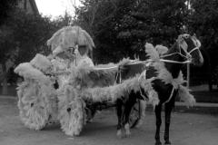 7.-©Denver-Public-Library-Special-Collections-and-Archives-Horace-S.-Poley