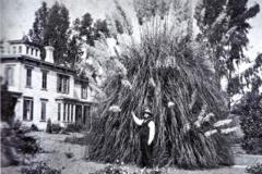 8.-Fotografia-szkolkarza-Josepha-Sextona-pochodzi-ze-strony-pswieconej-historii-miasta-Goleta-w-Kalifornii-www.goletahistory.com_