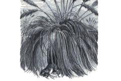 9.-Strona-z-ksiazki-Pictures-of-Travel-in-Far-Off-Lands-South-America-T.-Nelson-1876.-Ksiazka-zdigitalizowana-przez-Google