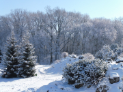 sniezne-zimy-sa-coraz-rzadsze