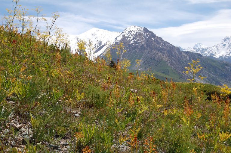 Kolejne wyprawy w Pamir za nami!