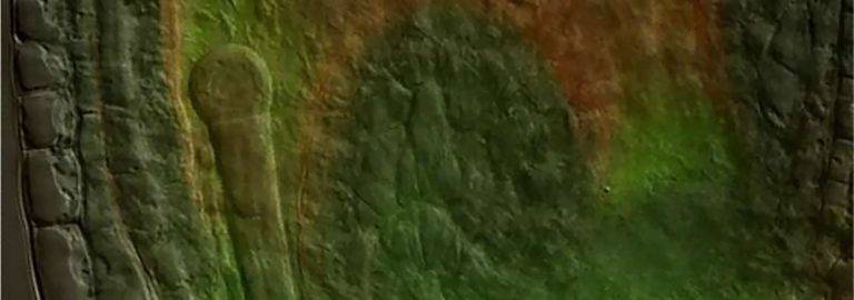 Nagroda PAN dla naszych naukowców!