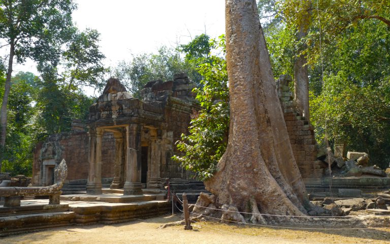 Ta Prohm – echa dawnej cywilizacji