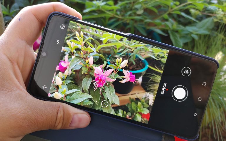 Aplikacje do rozpoznawania roślin