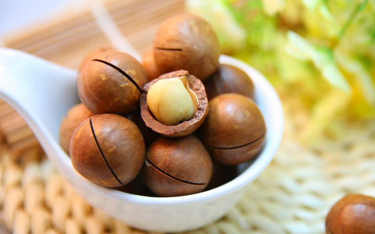 Makadamia, okrągłe orzechy z Antypodów