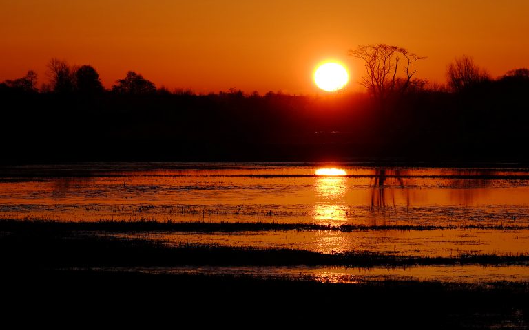 Światowy Dzień Mokradeł 2022 r.