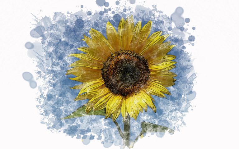 Rok Botaniki i Dzień Kobiet: pamięci polskich botaniczek