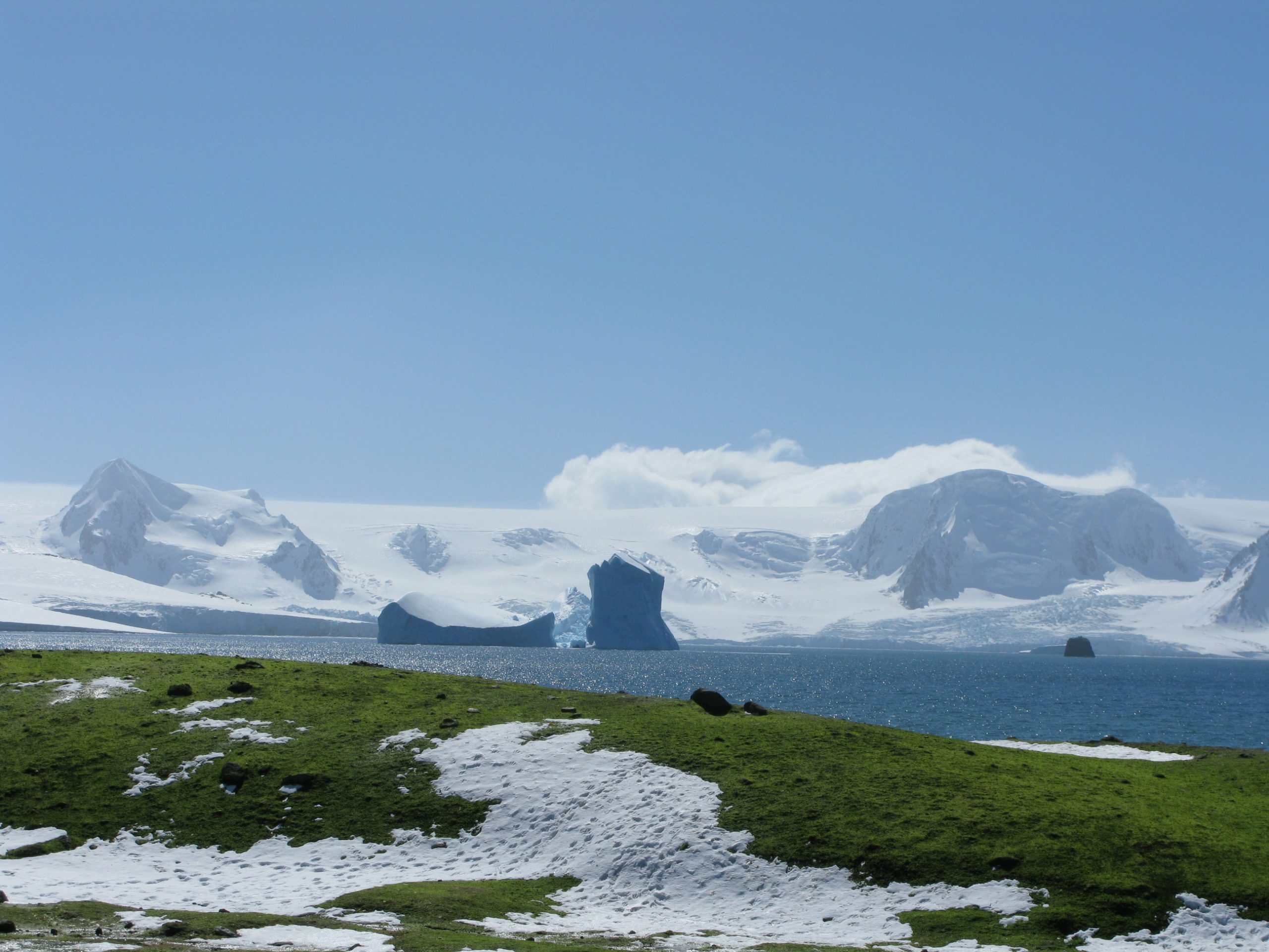 Gwiazka na Anatarktyce