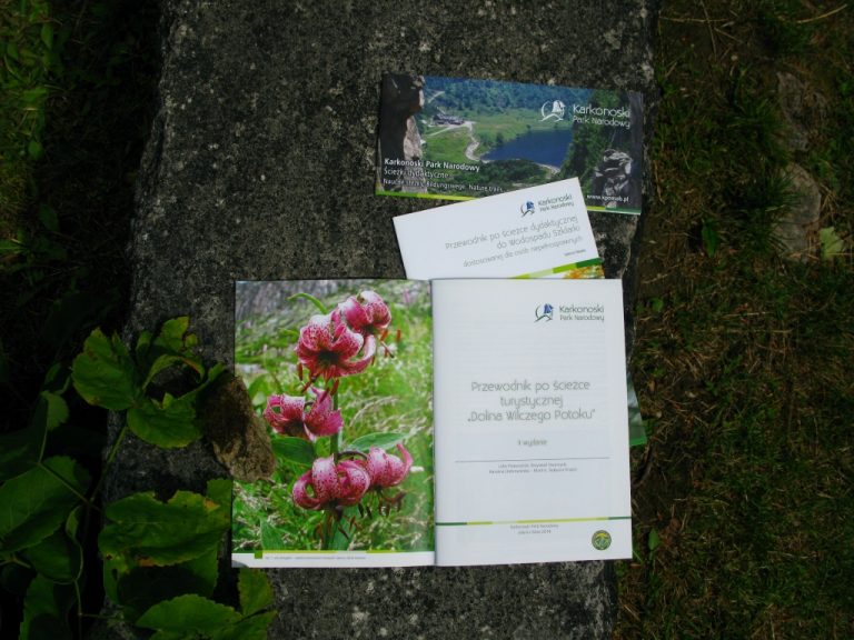 Botanizowanie na górskim szlaku.