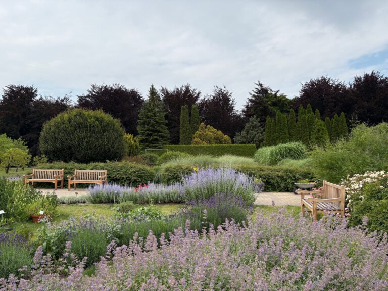 Ogrody Zmysłów 2025