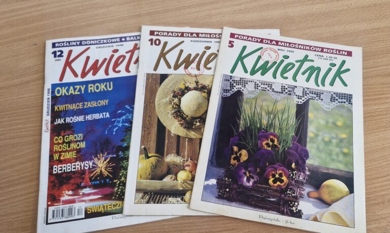 Fuksja – latarnia z dawnych ogrodów