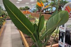 488885711_122154216062378434_6905647121581569522_n