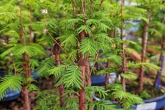 495338489_122159246240378434_8623912161129037252_n