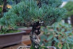 553689653_122177382020378434_4783021149649771843_n