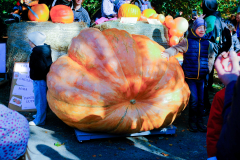 DSCF5048