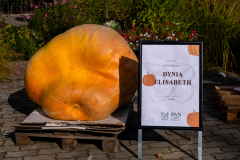 DSCF1877