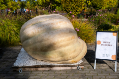 DSCF1879