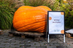 DSCF1888