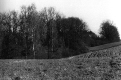 008.-Widok-na-skarpe-w-strone-Gronowka-1974-rok