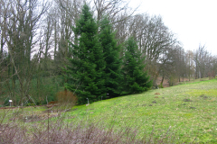 009.-Widok-na-skarpe-w-strone-Gronowka-obecnie-kilekcja-flory-Polski_2024-rok