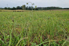 3c13f434-7191-4f02-b603-44b4292ffb40