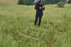 6b8fbcd9-c90a-4aa3-aaef-9c8ed5b6804c